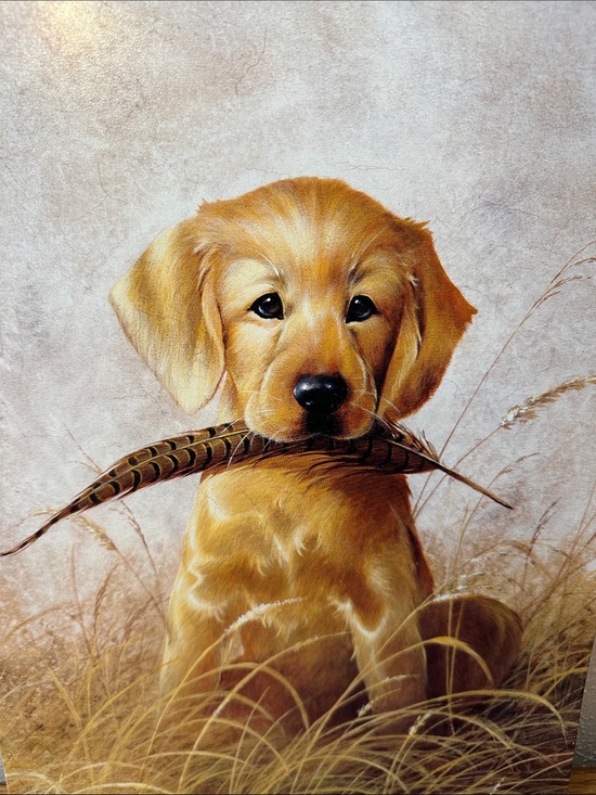 Other - Golden Retriever Metal Sign artwork by L.R. KAATZ Vintage